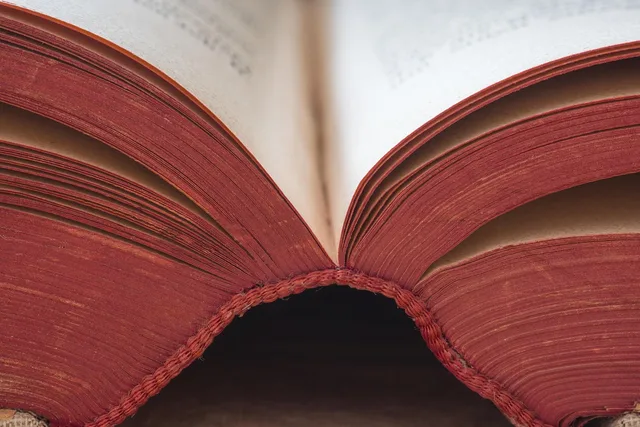 a book, spine, old, library, literature, books, antiquarian, antique, historical, worn, antiquariat, paper, read, writing, training, secrets, book content, to learn, knowledge, to study. Adapting a Verified Source Is the Whole Job of Content Repurposing